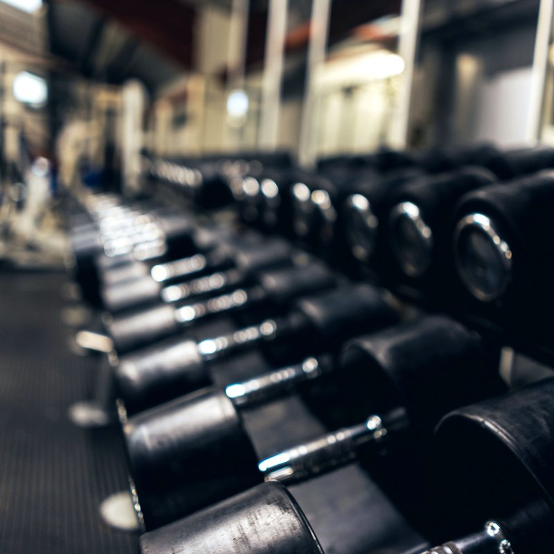 A rack of dumbbells in a gym
